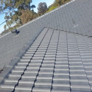 Roof painting service Liverpool NSW Dayluxe Roofing