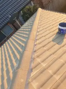 Roof cleaning and tile restoration Liverpool NSW