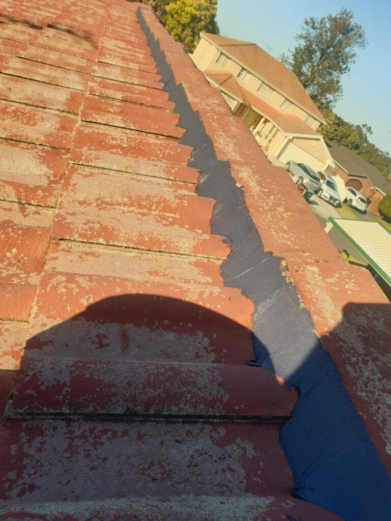 Roof restoration project in Sydney - Dayluxe Roofing