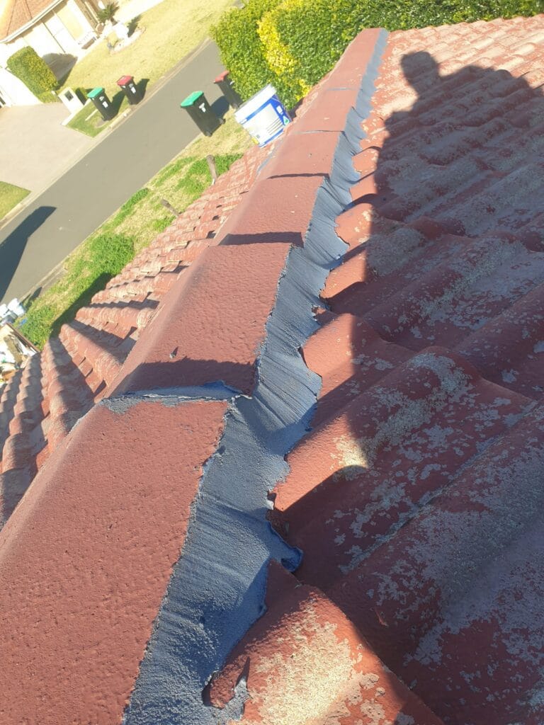 After roof restoration Sydney professionally restored tiled roof